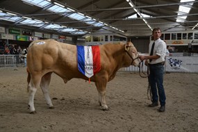 Kamp.mnl. 1 tot 3 jaar