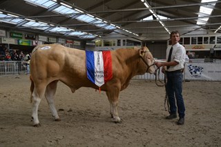 Kamp.mnl. 1 tot 3 jaar