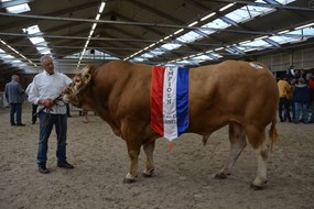 kamp.mnl. 3 j. en ouder