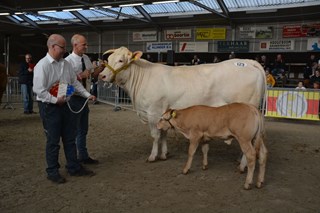 kamp.zoogstellen