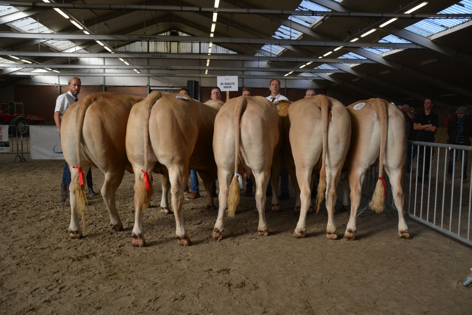De Woeste Hoeve grijpt overwinning bij de bedrijfsgroepen