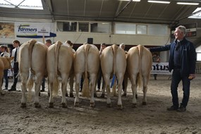 Bedrijfsgroep Hoeve Druivendaal