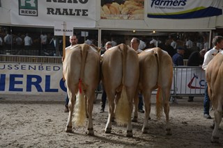 Bedrijfsgroep Gebr.Blaauw