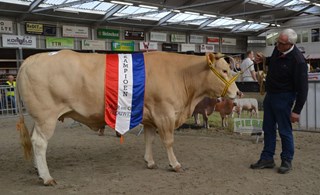 Kamp.vrl. 3j. en ouder Harielle du Moulin