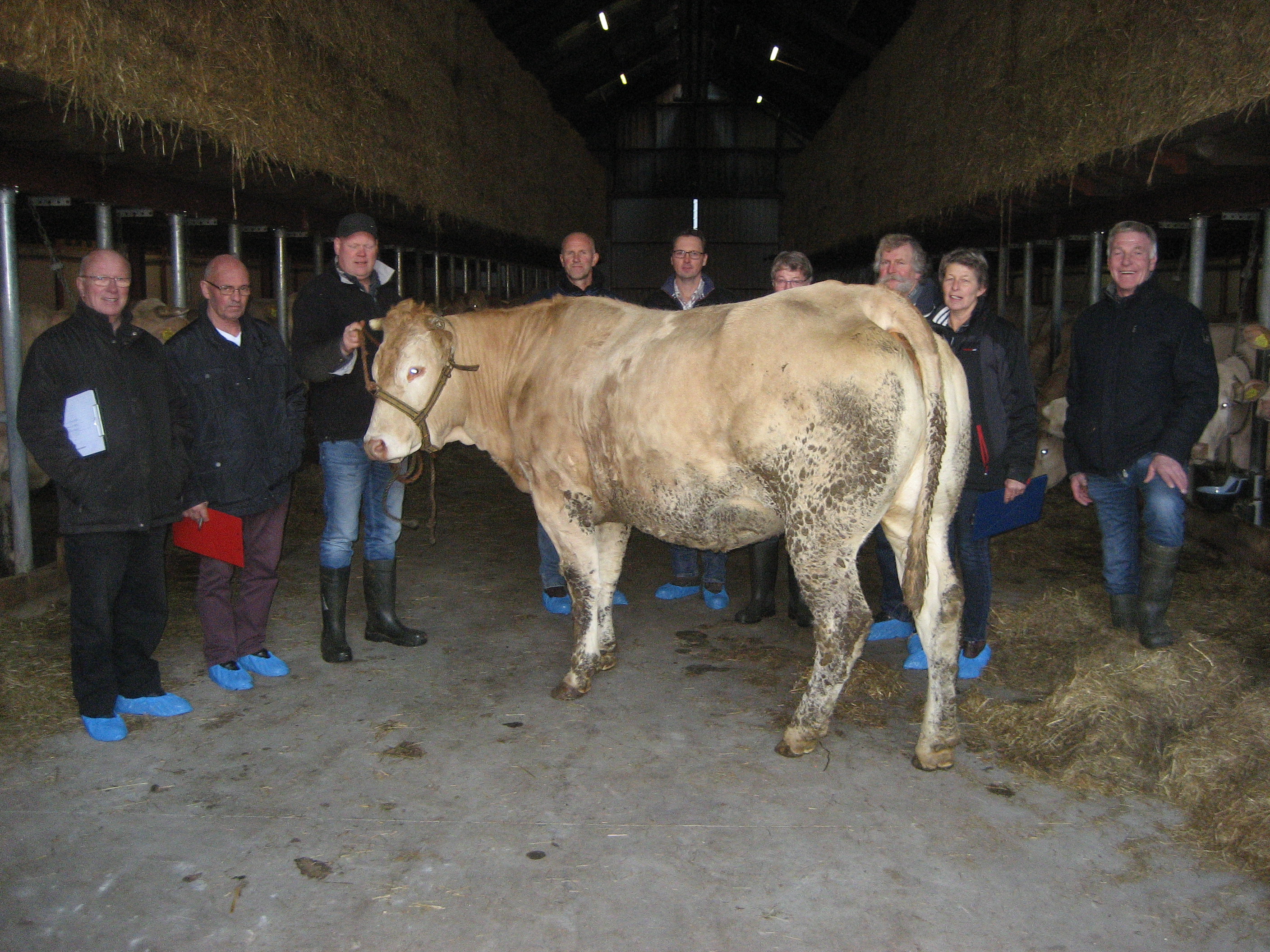 Jaarlijkse uniformering