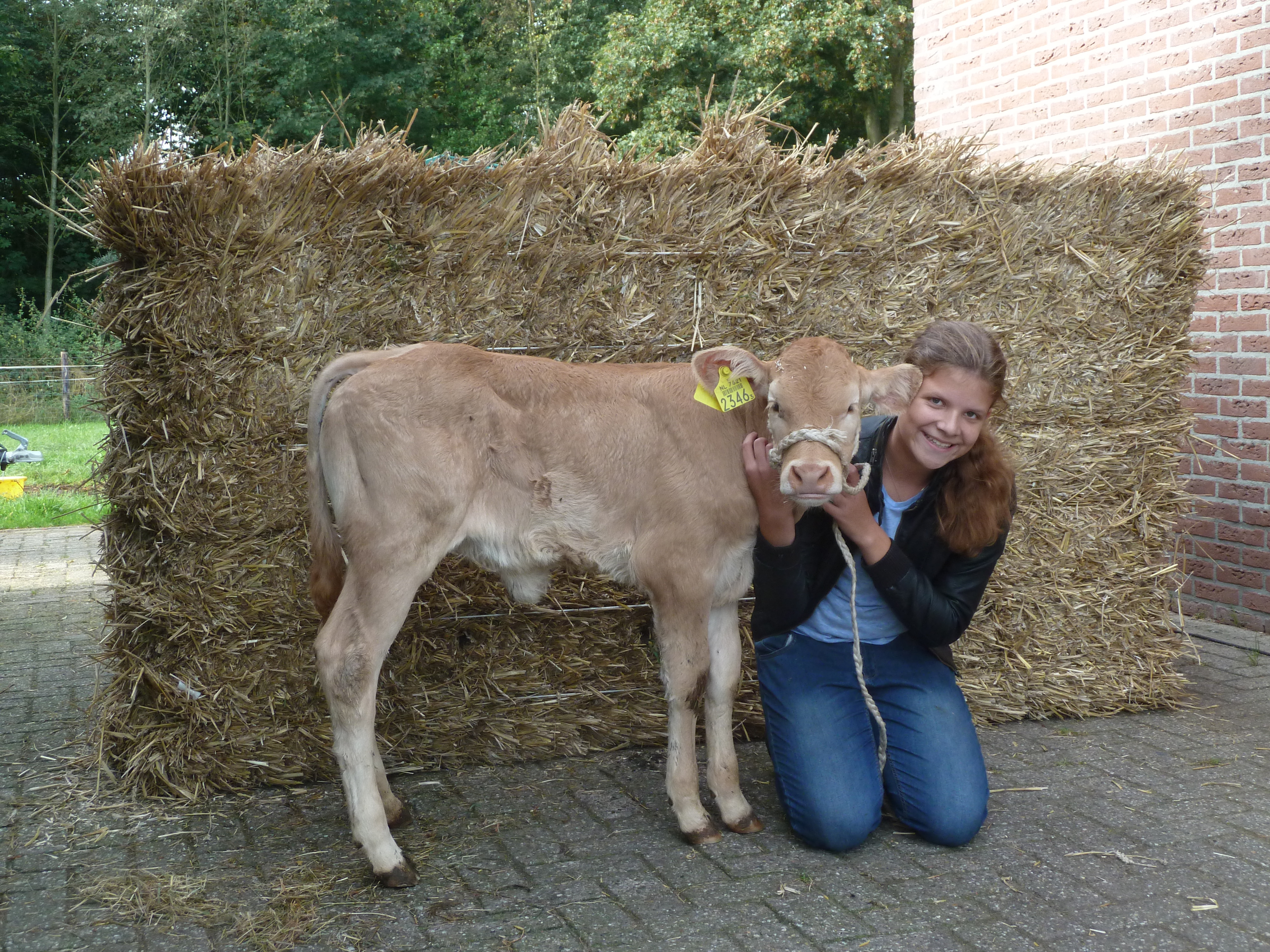 Jong en gek op Blond