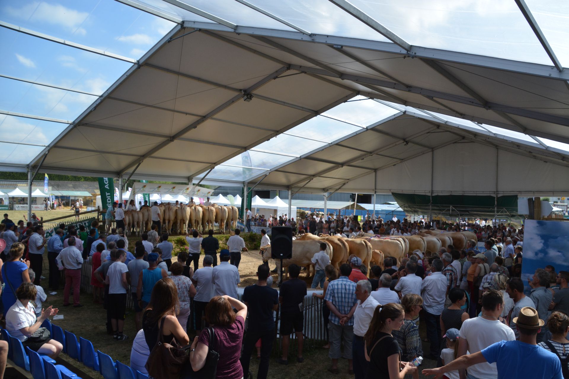 Terugblik nationale keuring van Frankrijk in Mayenne