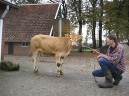 Jelle met pink