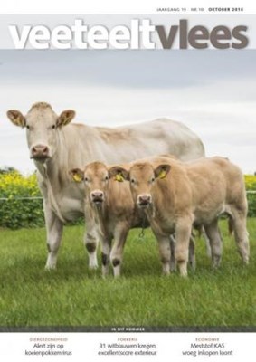 Blondes van Busch