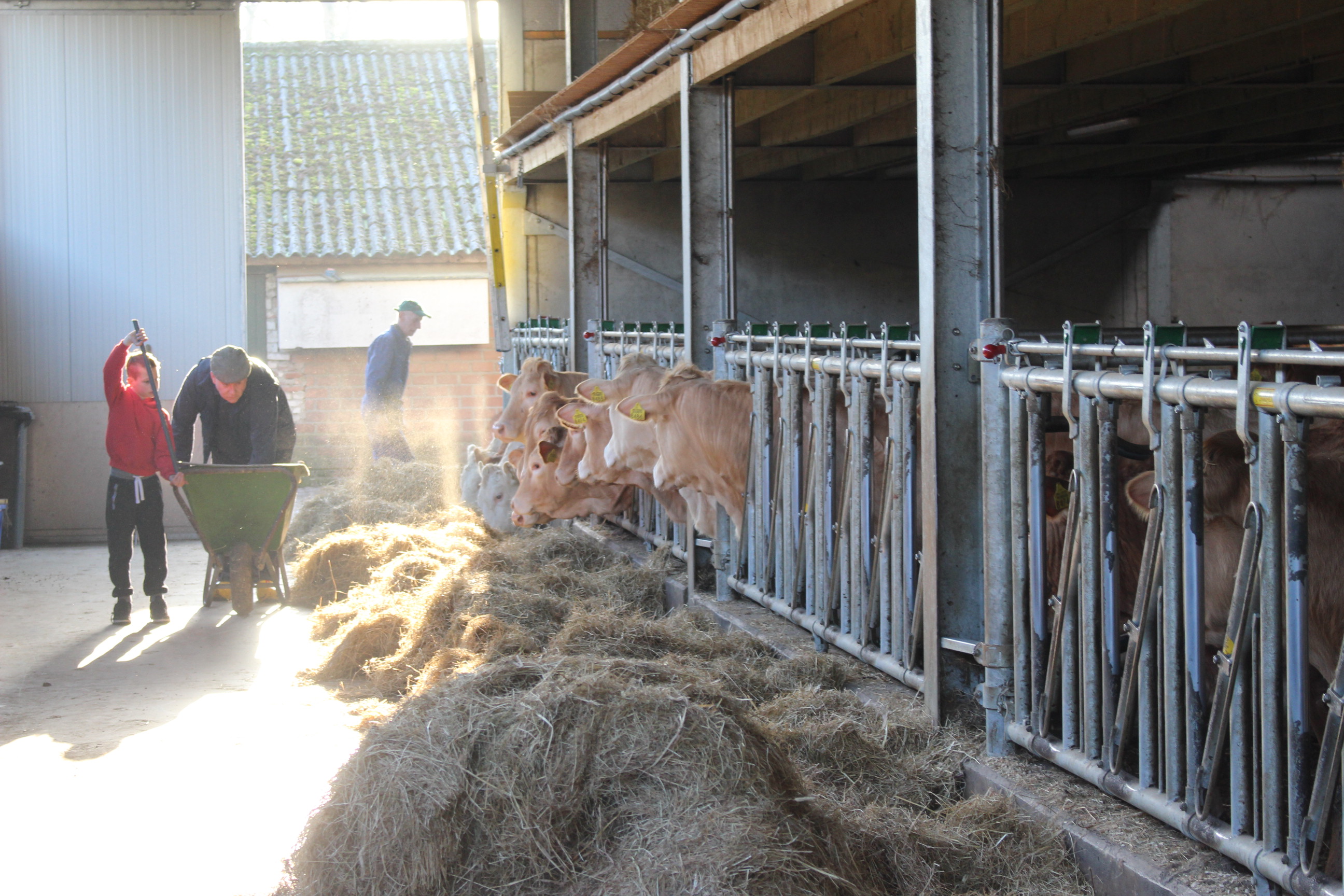 Volgende week in de brievenbus