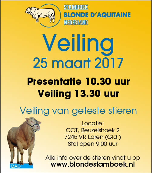 Video BAC-stieren veiling 25 maart in Laren