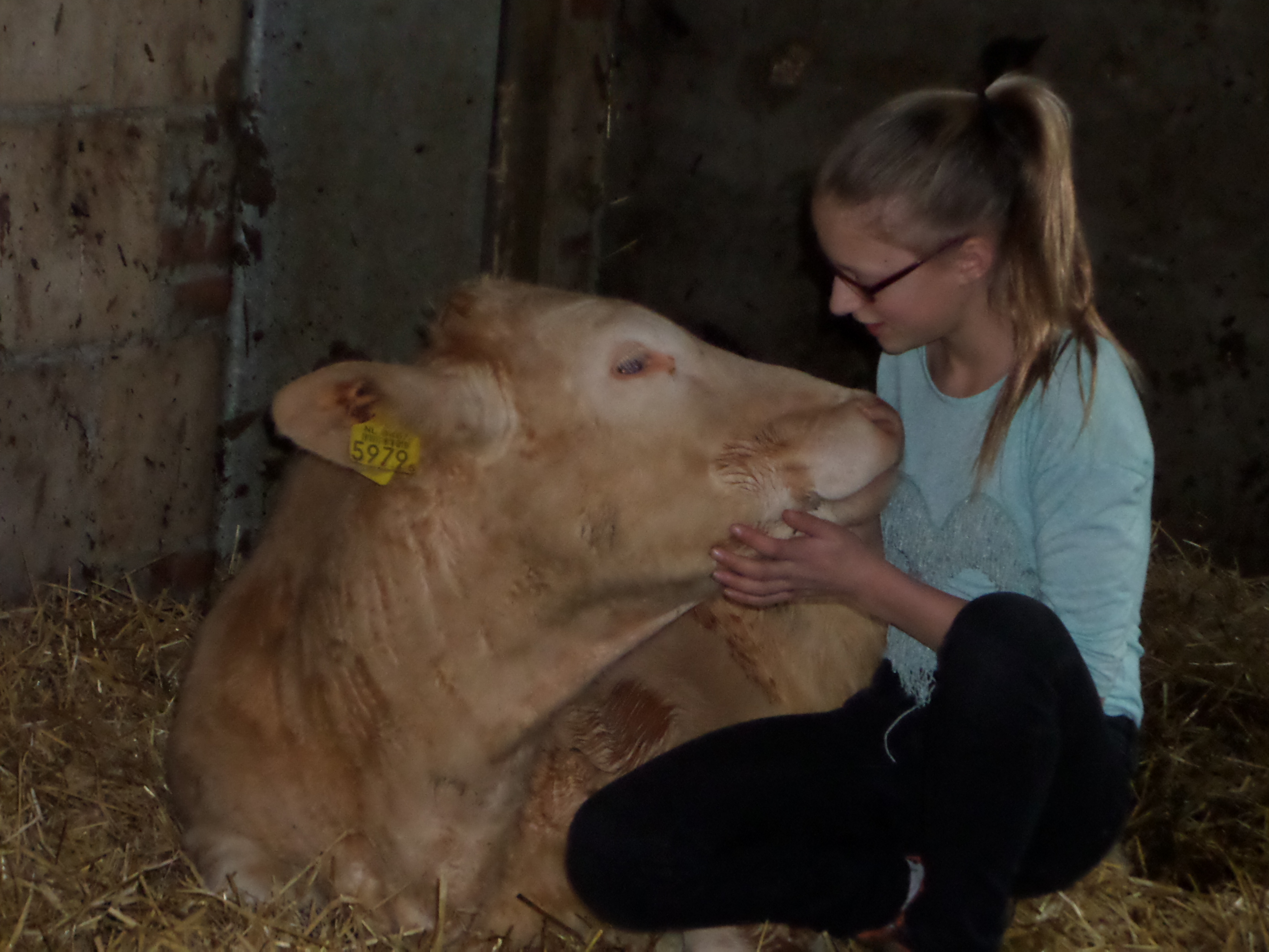 Jong en gek op Blond, Hilleen Kip