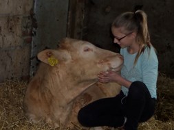 Hilleen Kip