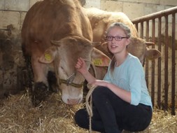 Hilleen Kip 2