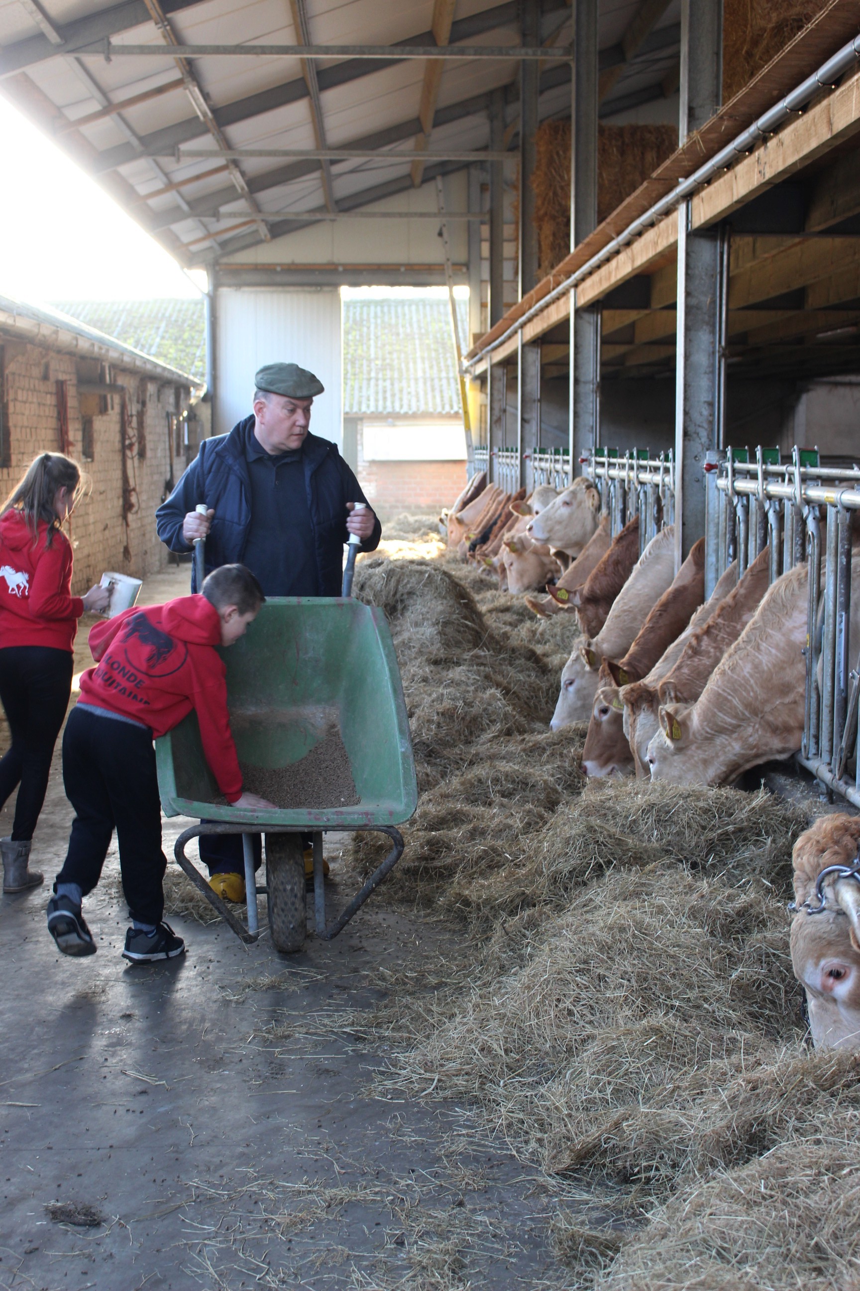 Bedrijfsverslag Arnold Renders in Nederwetten