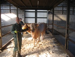 in de piste met BAC Leroy en BAC Leeuw