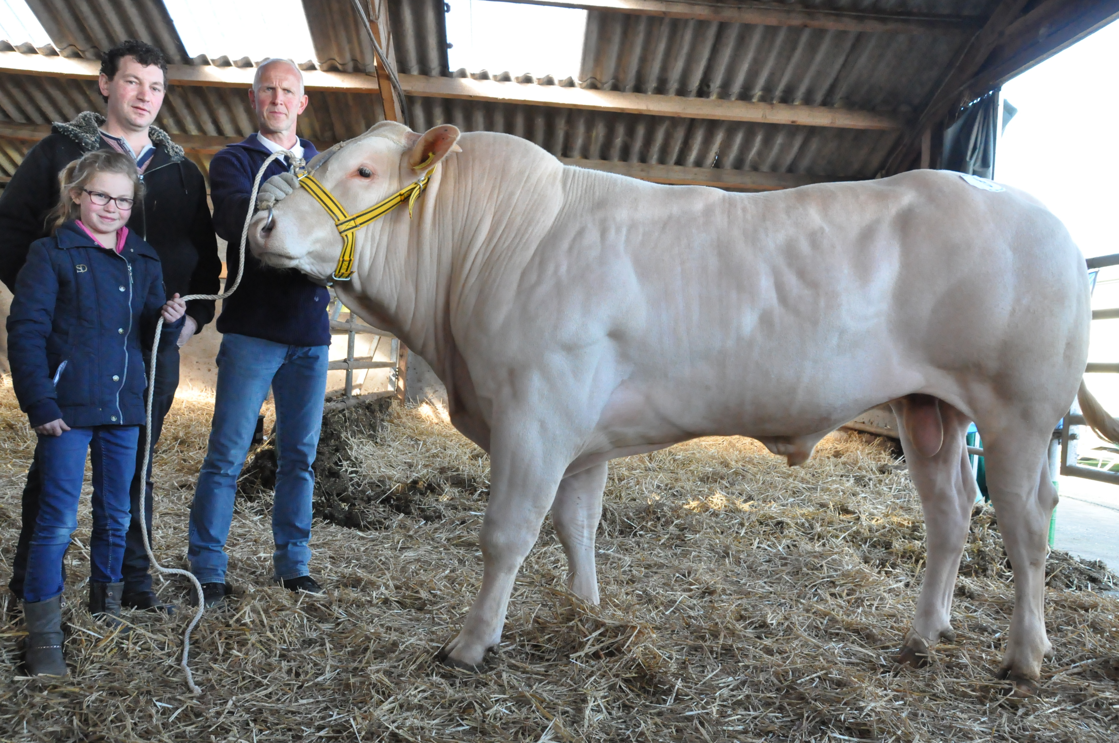 BAC Lorenzo veilingtopper op de voorjaarsveiling bij het COT