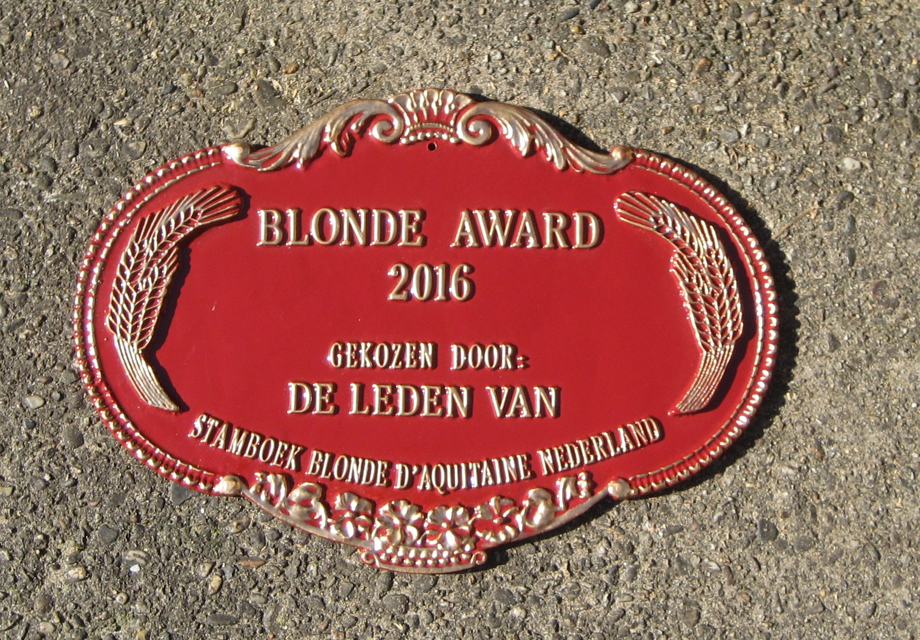 Wie wint Blonde Award 2016