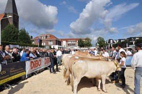 overzicht keuring Enter