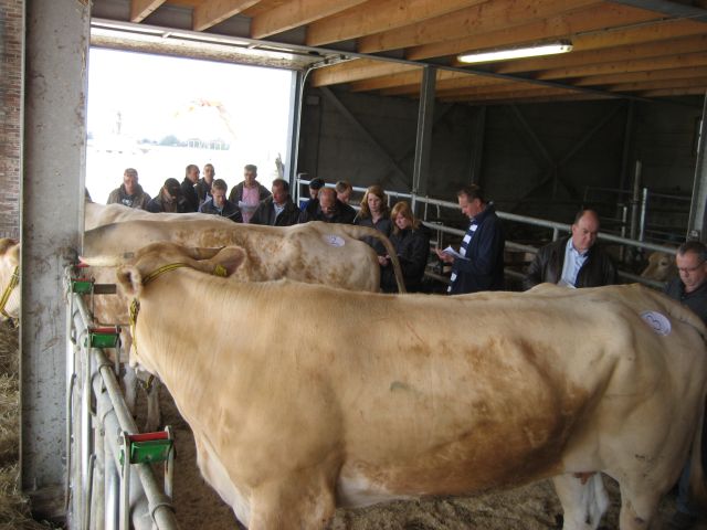 Cursus veebeoordelen van start