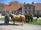 Fierba seminaar in Denemarken