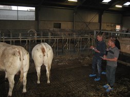 cursus 3