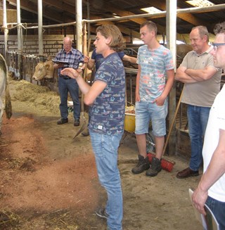 winnaar Friedeman