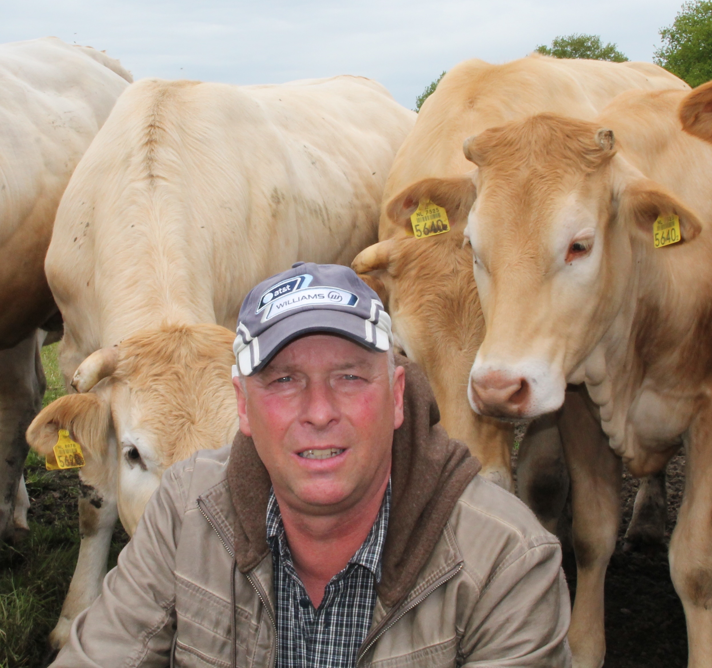 André van Dorresteijn nieuw bestuurslid Blonde d'Aquitaine stamboek