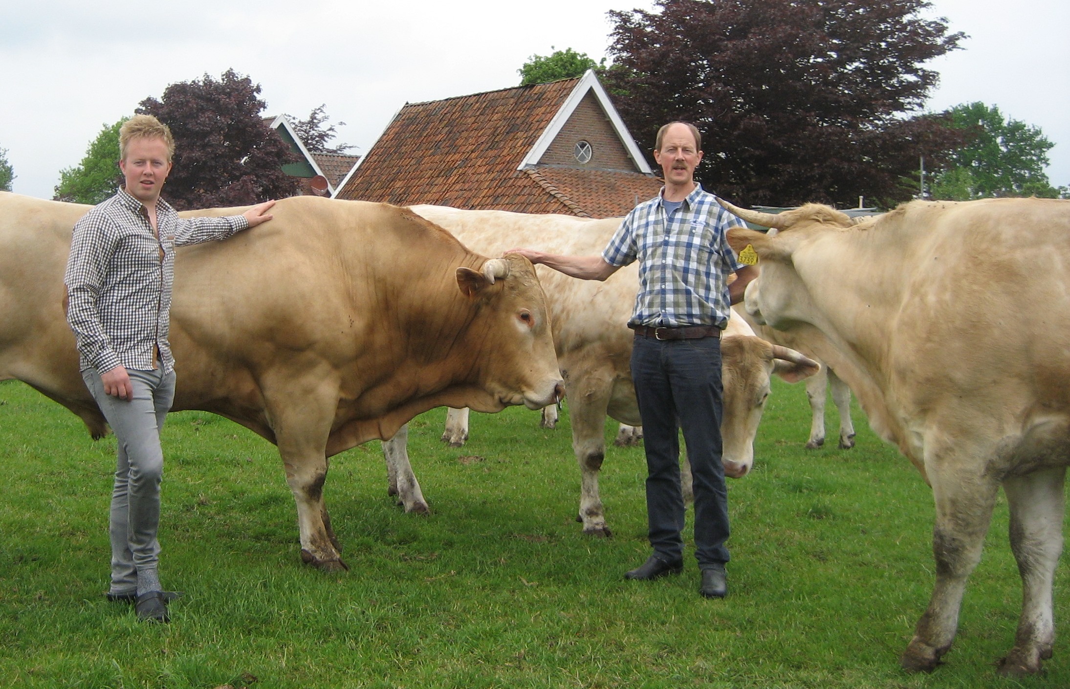 Zoeken naar rendement