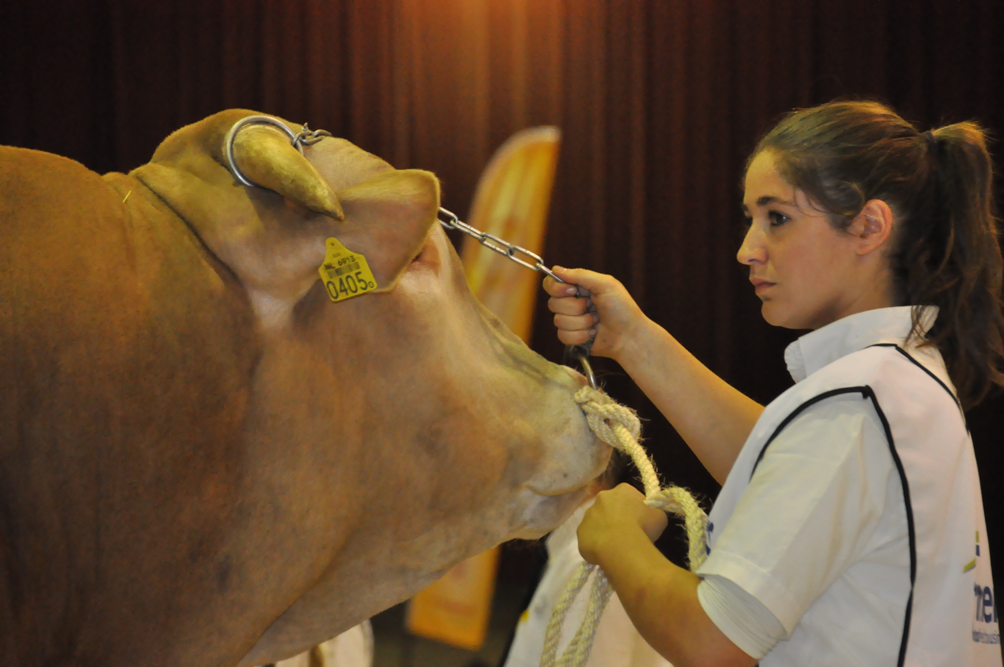 Inschrijving voor de NVM Zwolle geopend