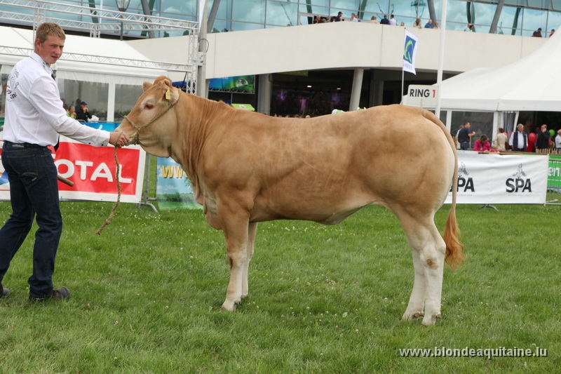 Roodheuvel Magnifique scoort in Libramont