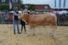 DSC_0537 Mister toekomst