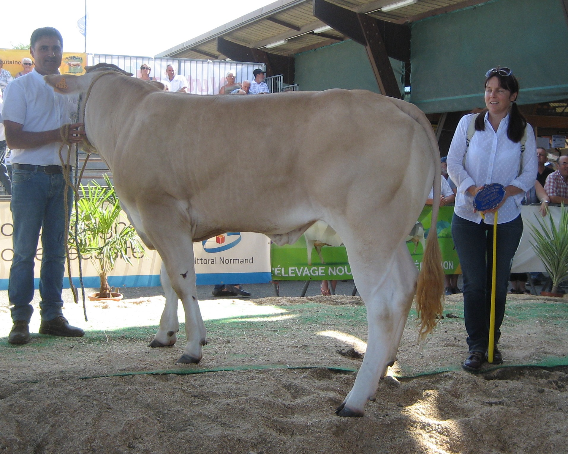 Jury voor de nationale keuring op de NVM 