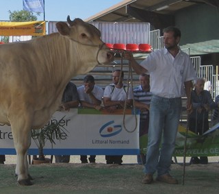 Francois Lorin - 