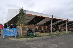 8Het onderkomen van de dieren