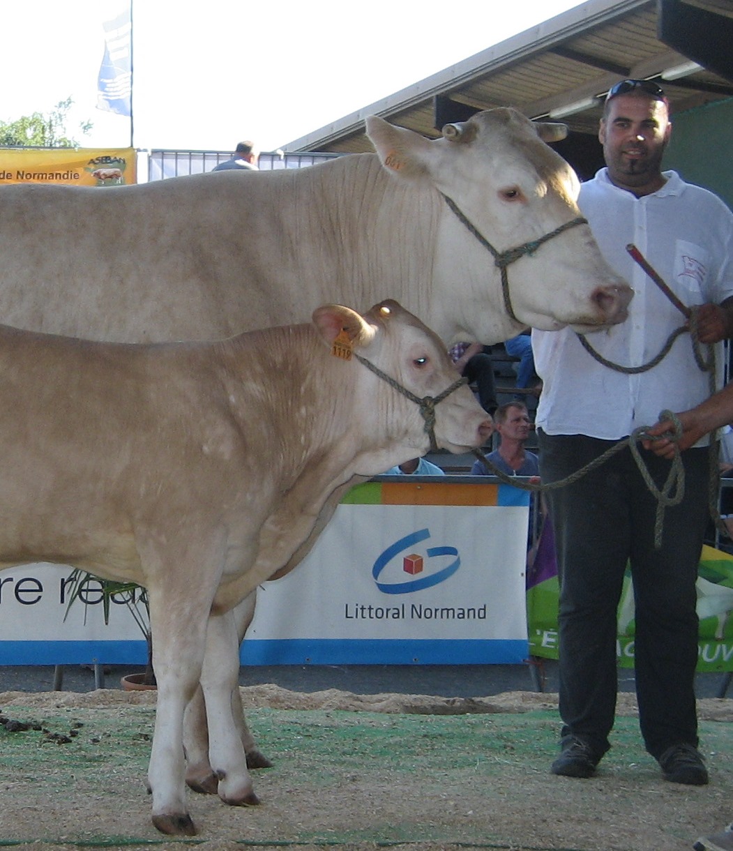 Olivier Collardeau vervangt Laurence Pierre