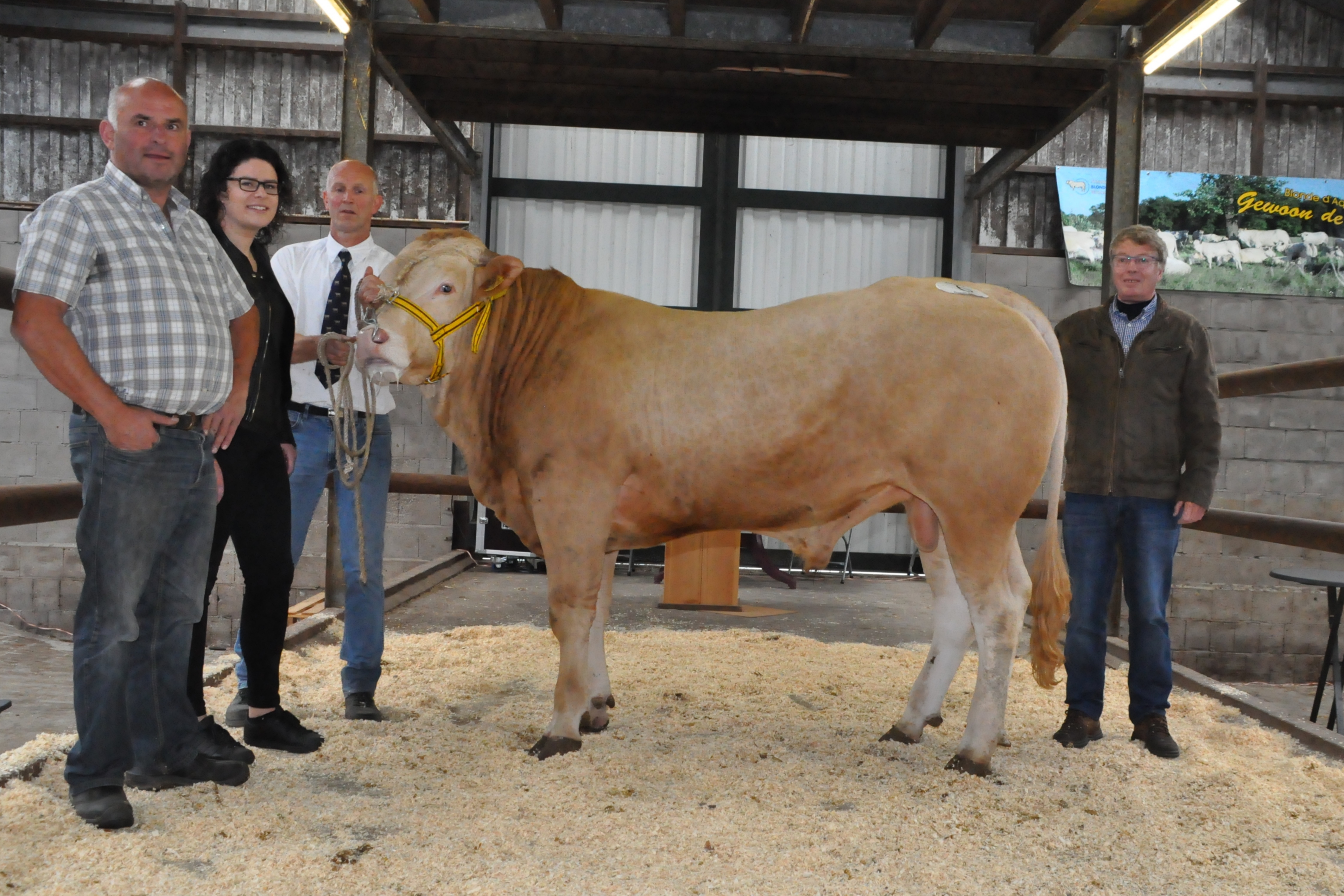 BAC Mestro veilingtopper op de herfstveiling bij het COT
