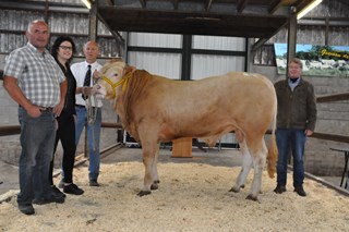 BAC Mestro veilintopper