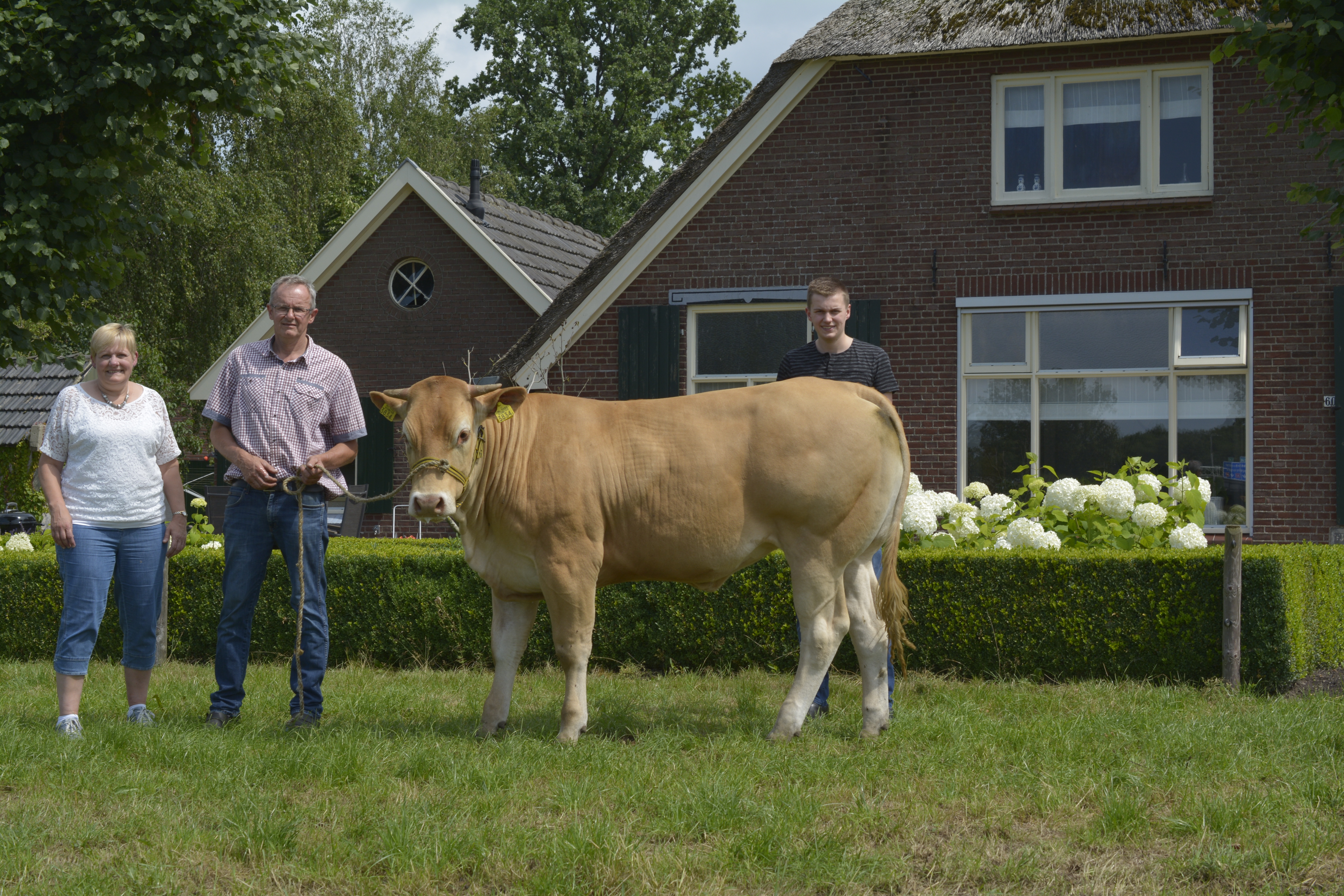 Familie Brink, door fokkerij naar homogene veestapel.