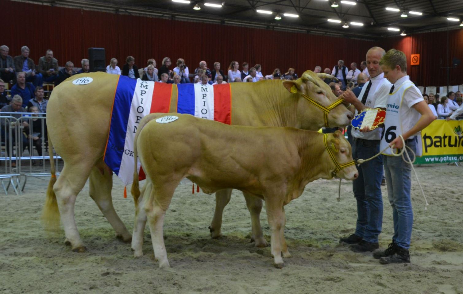 Havanaise en BAC Jade algemeen kampioen NVM 