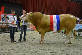 BAC Jade cat.nr.121 kamp.mnl. 3 jaar en ouder