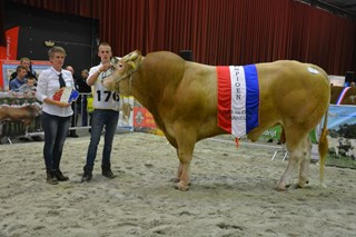 BAC Jade cat.nr.121 kamp.mnl. 3 jaar en ouder