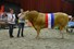 BAC Jade cat.nr.121 kamp.mnl. 3 jaar en ouder