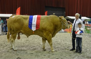 Jacco JE cat.nr. 120A kamp.mnl. 1 tot 3 jaar