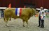 Jacco JE cat.nr. 120A kamp.mnl. 1 tot 3 jaar