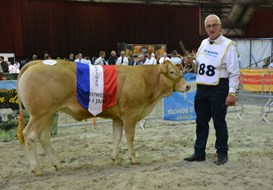 Nharielle du Moulin cat.nr.141 kamp.vrl. tot 1 jaar