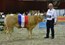 Nharielle du Moulin cat.nr.141 kamp.vrl. tot 1 jaar