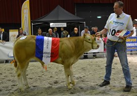 Narceur du Manteau cat.nr.102 kamp.mnl. tot 1 jaar