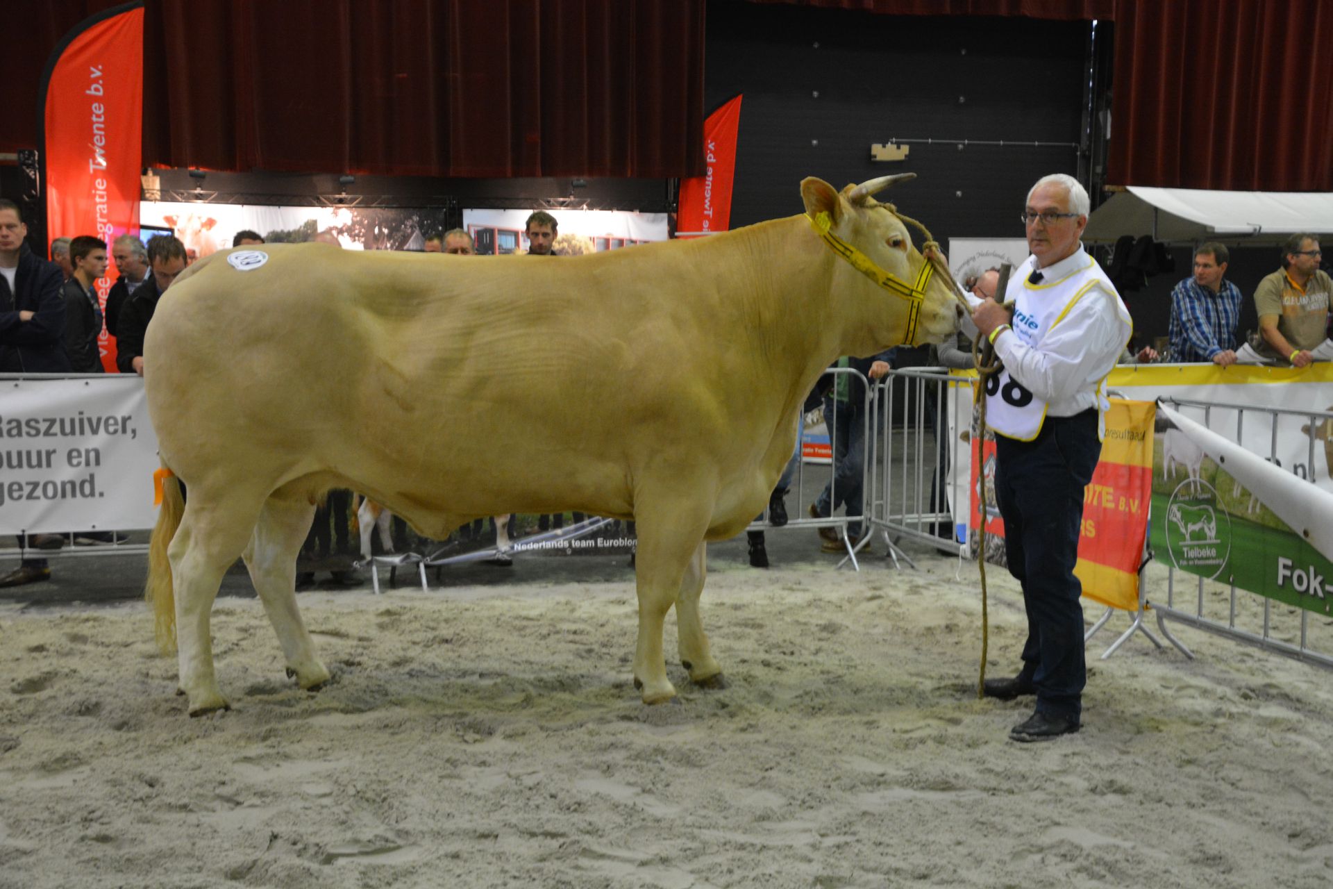 De reservekampioenen van de NVM in beeld