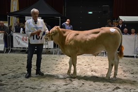 Pion Navarro cat.nr.107 res.kamp.mnl. tot 1 jaar